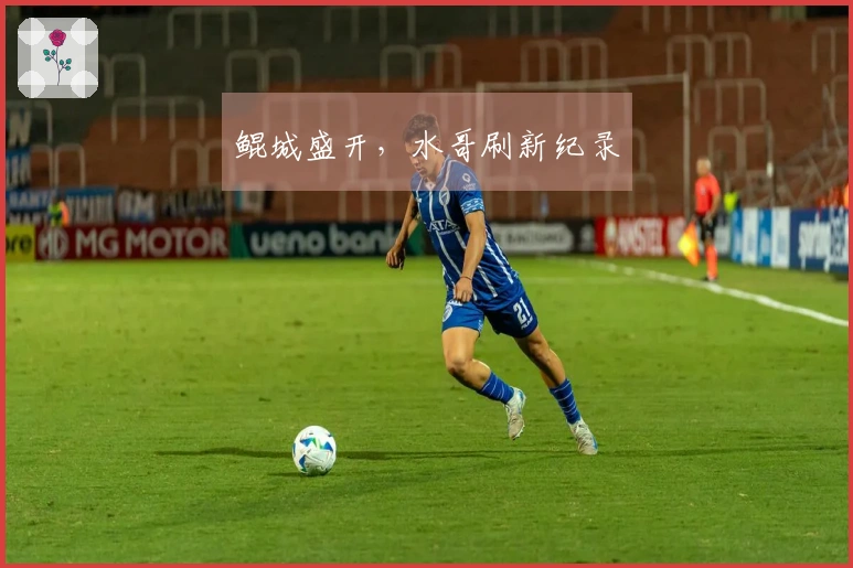 鲲城盛开，水哥刷新纪录