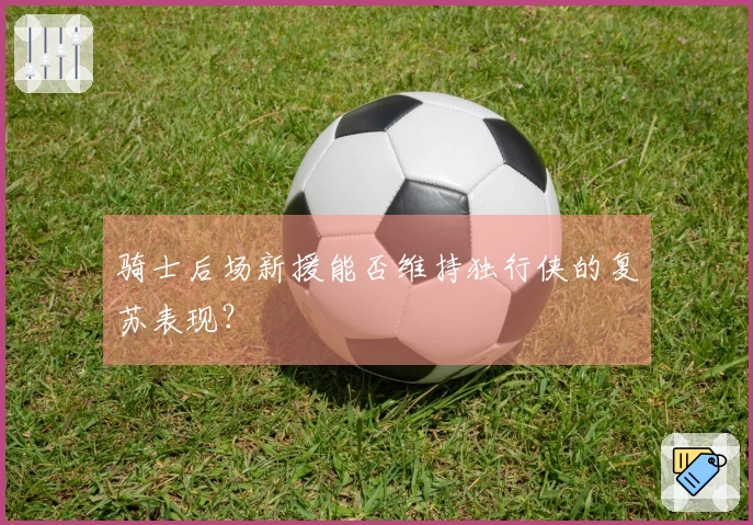 骑士后场新援能否维持独行侠的复苏表现？